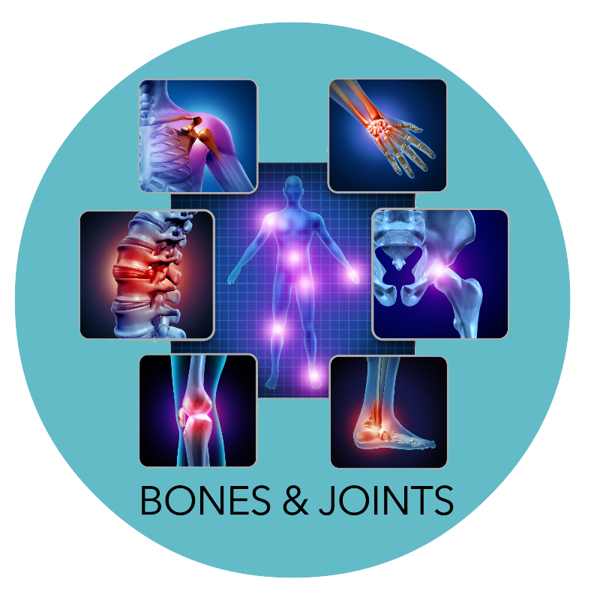 BONES JOINTS